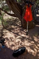 ZC0D3340.jpg ZC0D3340.jpg