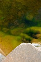 ZC0D3362.jpg ZC0D3362.jpg