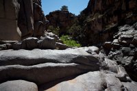 ZC0D3437.jpg ZC0D3437.jpg