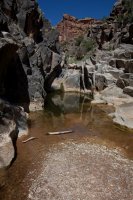 ZC0D3441.jpg ZC0D3441.jpg