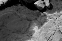 ZC0D3465.jpg ZC0D3465.jpg