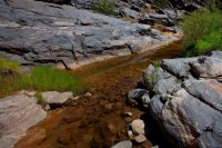 ZC0D3482.jpg ZC0D3482.jpg