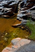 ZC0D3488.jpg ZC0D3488.jpg