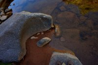 ZC0D3506.jpg ZC0D3506.jpg