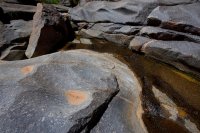 ZC0D3537 (1).jpg ZC0D3537 (1).jpg