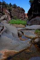 ZC0D3585.jpg ZC0D3585.jpg