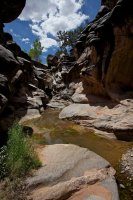 ZC0D3591.jpg ZC0D3591.jpg