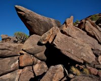 ZC0D3330 (2).jpg ZC0D3330 (2).jpg