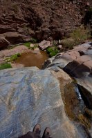 ZC0D3595.jpg ZC0D3595.jpg