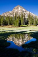 Reidflection.jpg Reidflection.jpg