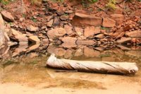 IMG_7574.JPG IMG_7574.JPG