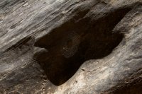 the-zion-narrows-4.jpg the-zion-narrows-4.jpg