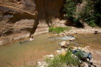 the-zion-narrows-5.jpg the-zion-narrows-5.jpg