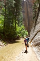 the-zion-narrows-6.jpg the-zion-narrows-6.jpg