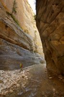 the-zion-narrows-7.jpg the-zion-narrows-7.jpg