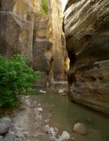 the-zion-narrows-8.jpg the-zion-narrows-8.jpg