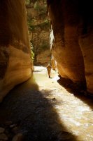 the-zion-narrows-10.jpg the-zion-narrows-10.jpg