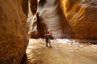 the-zion-narrows-14.jpg the-zion-narrows-14.jpg