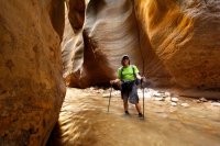 the-zion-narrows-15.jpg the-zion-narrows-15.jpg