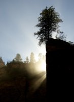 the-zion-narrows-19.jpg the-zion-narrows-19.jpg