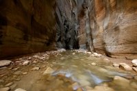 the-zion-narrows-27.jpg the-zion-narrows-27.jpg