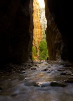 the-zion-narrows-28.jpg the-zion-narrows-28.jpg