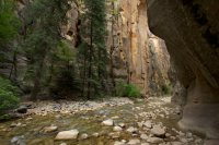 the-zion-narrows-29.jpg the-zion-narrows-29.jpg