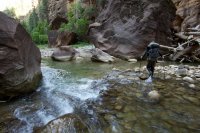 the-zion-narrows-33.jpg the-zion-narrows-33.jpg