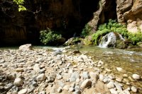 the-zion-narrows-34.jpg the-zion-narrows-34.jpg