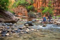 the-zion-narrows-35.jpg the-zion-narrows-35.jpg