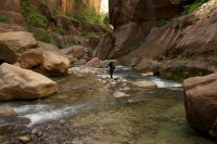 the-zion-narrows-39.jpg the-zion-narrows-39.jpg