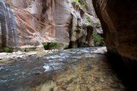 the-zion-narrows-41.jpg the-zion-narrows-41.jpg