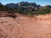 the-zion-narrows-45.jpg the-zion-narrows-45.jpg