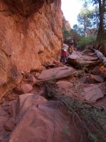 the-zion-narrows-46.jpg the-zion-narrows-46.jpg