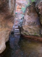the-zion-narrows-48.jpg the-zion-narrows-48.jpg