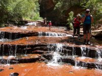 the-zion-narrows-55.jpg the-zion-narrows-55.jpg