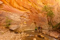 Nilauro-Markus-(C)-2012-2497.jpg Nilauro-Markus-(C)-2012-2497.jpg