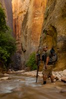 Nilauro-Markus-(C)-2012-2610.jpg Nilauro-Markus-(C)-2012-2610.jpg