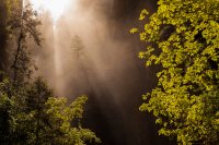 Nilauro-Markus-(C)-2012-2650.jpg Nilauro-Markus-(C)-2012-2650.jpg