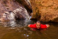 Nilauro-Markus-(C)-2012-3118.jpg Nilauro-Markus-(C)-2012-3118.jpg