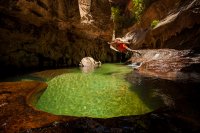 Nilauro-Markus-(C)-2012-3340.jpg Nilauro-Markus-(C)-2012-3340.jpg