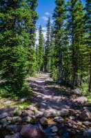 DSC_4477.jpg DSC_4477.jpg