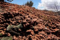 Red Cliff Wandering-23.jpg