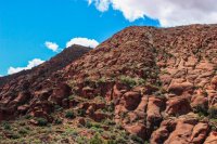 Red Cliff Wandering-29.jpg