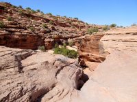 IMG_3589.JPG IMG_3589.JPG