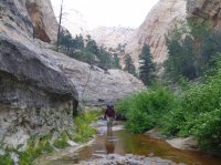 P1040607.JPG P1040607.JPG