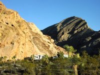 P1010006.jpg P1010006.jpg