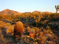 P1010026.jpg P1010026.jpg