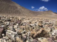 IMG_3862.JPG IMG_3862.JPG