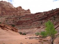 IMG_1354 [1024x768].JPG